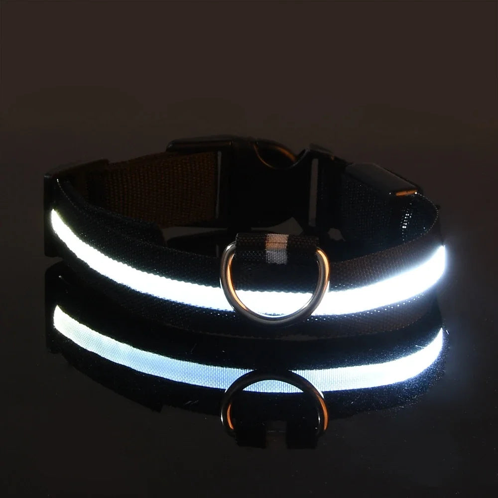 Collier Lumineux de Sécurité LED Chien
