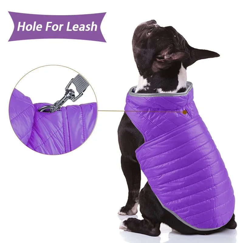 Veste Chien Pluie Réfléchissante