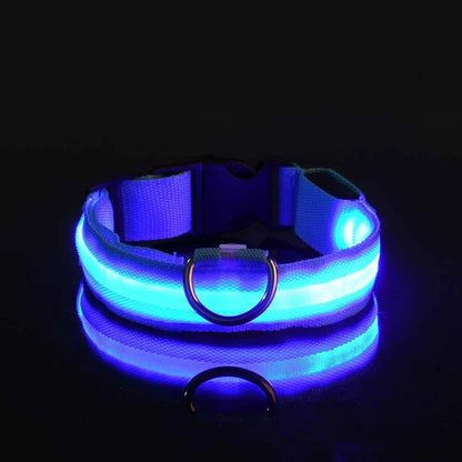 Collier Lumineux de Sécurité LED Chien