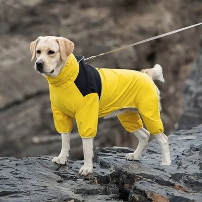 Veste Pluie Chien Imperméable