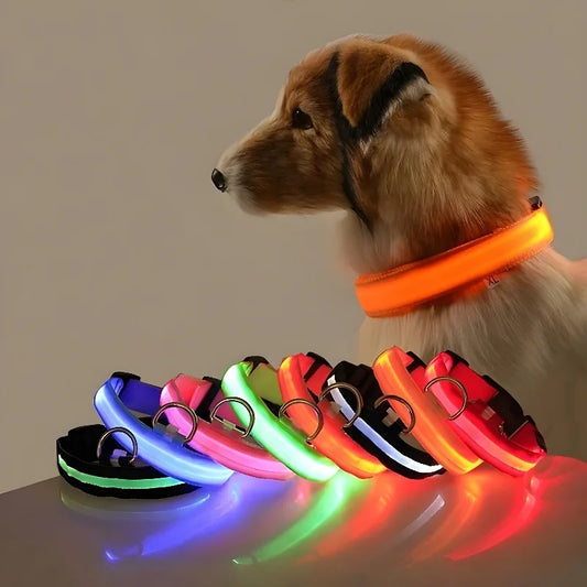 Collier Lumineux de Sécurité LED Chien