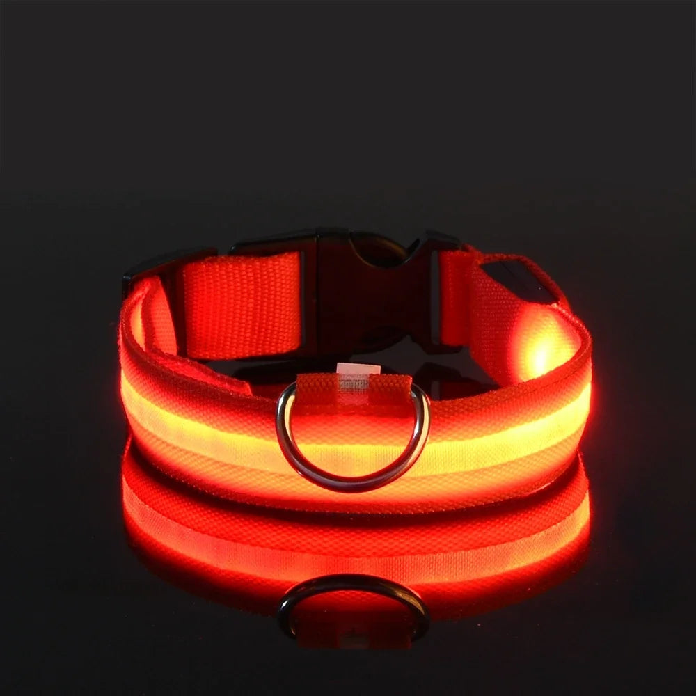 Collier Lumineux de Sécurité LED Chien