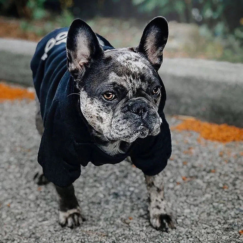 Hoodie Adidog pour Chiens Branchés