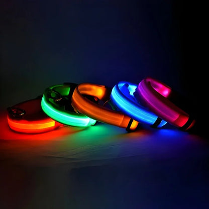 Collier Lumineux de Sécurité LED Chien