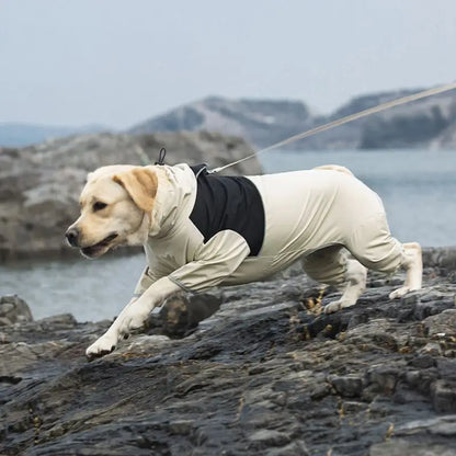Veste Pluie Chien Imperméable
