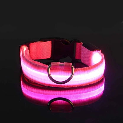 Collier Lumineux de Sécurité LED Chien