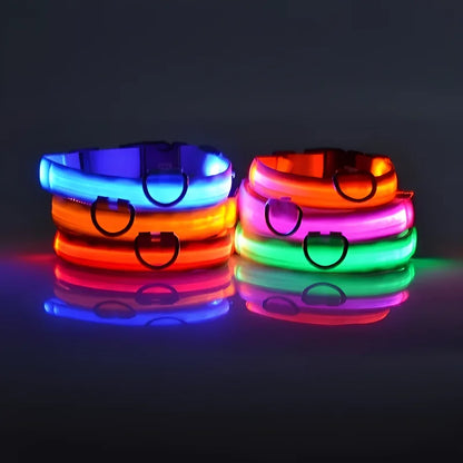 Collier Lumineux de Sécurité LED Chien