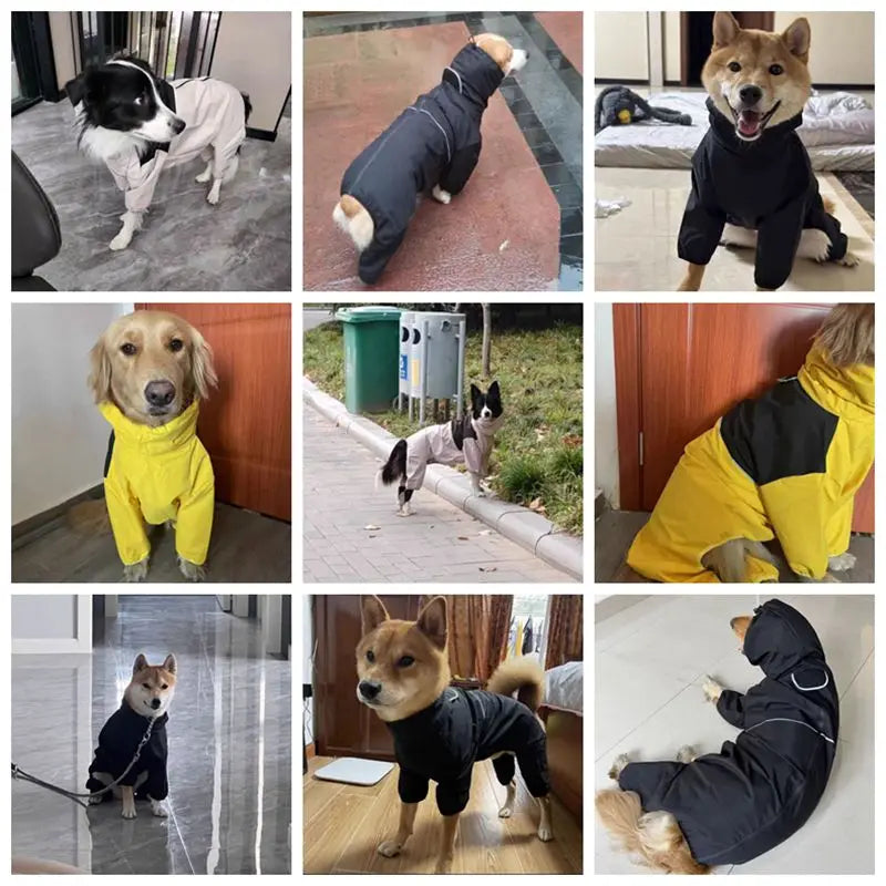 Veste Pluie Chien Imperméable