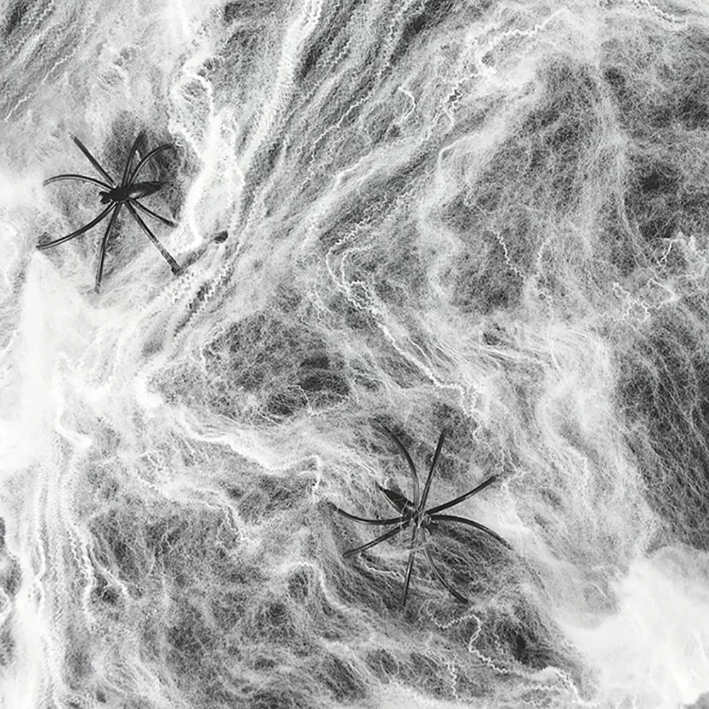 Toile d'Araignée Halloween Effrayante