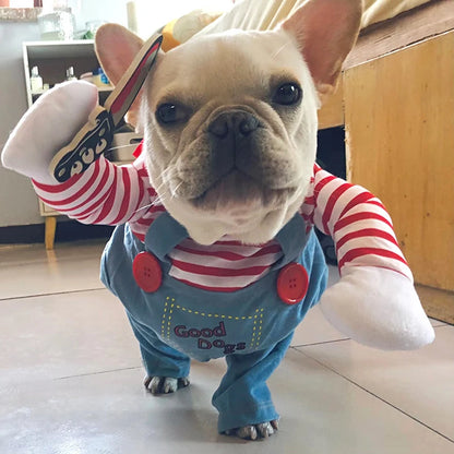 Costume Chien Halloween Amusant