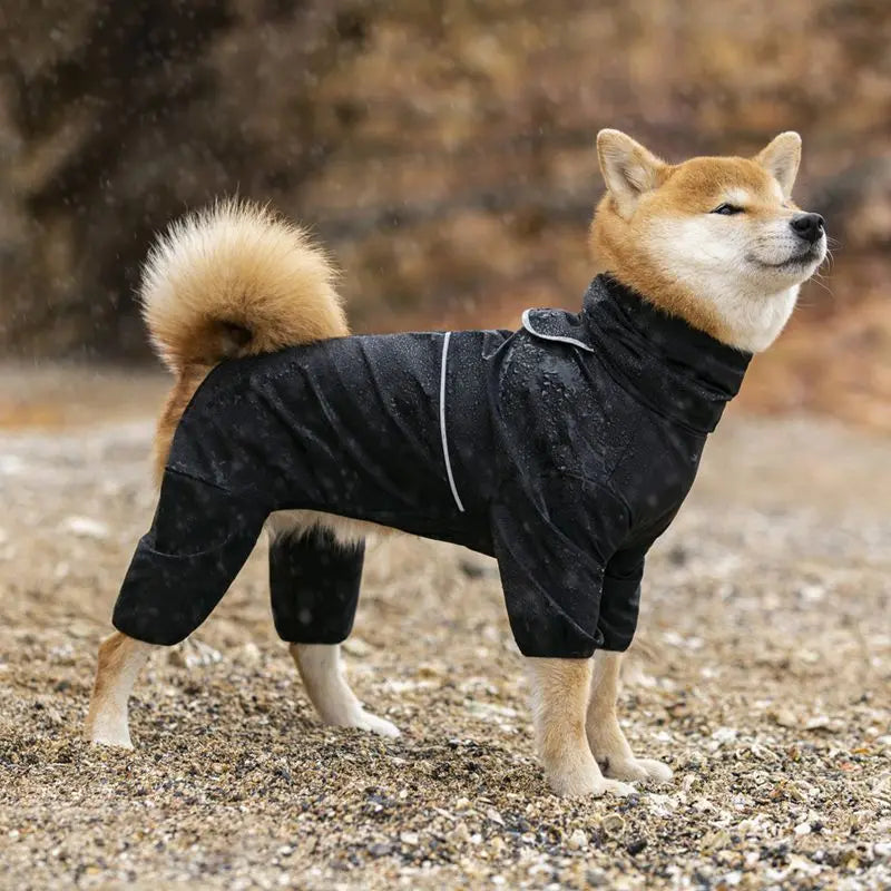 Veste Pluie Chien Imperméable