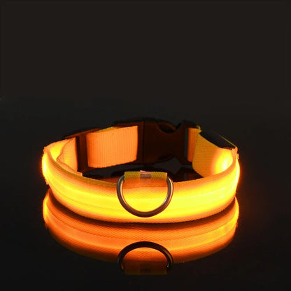 Collier Lumineux de Sécurité LED Chien