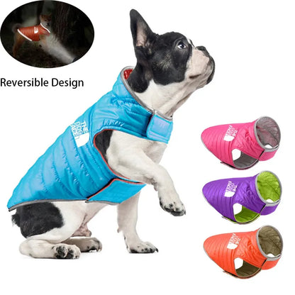 Veste Chien Pluie Réfléchissante