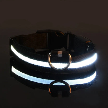 Collier Lumineux de Sécurité LED Chien