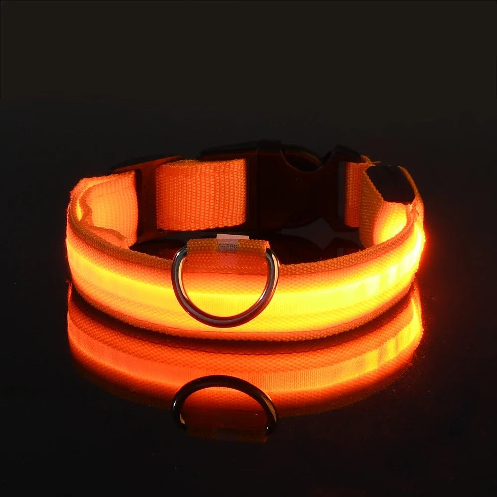 Collier Lumineux de Sécurité LED Chien