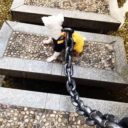 Chaine de Promenade Pour Chiens Fun