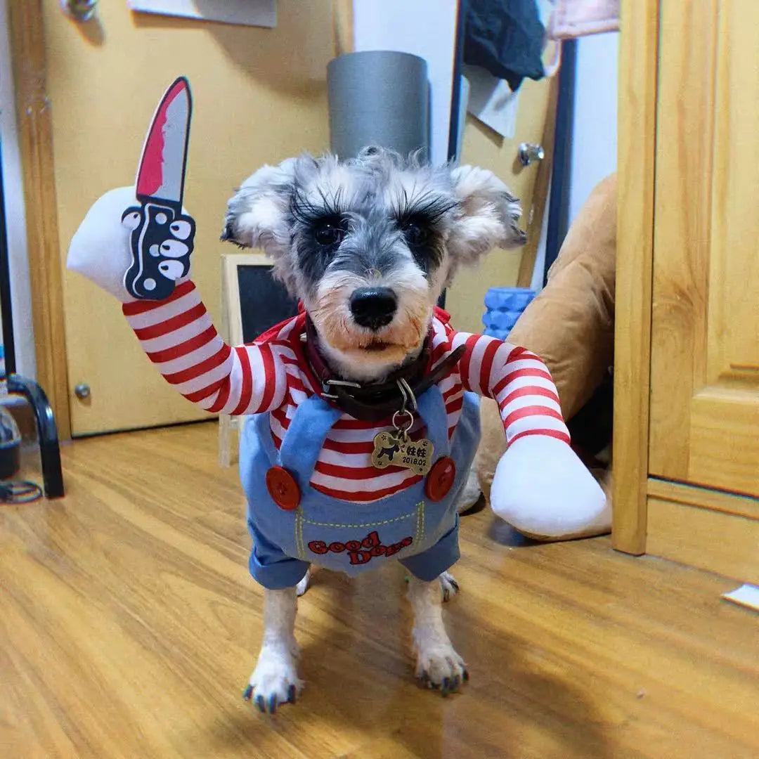 Costume Chien Halloween Amusant