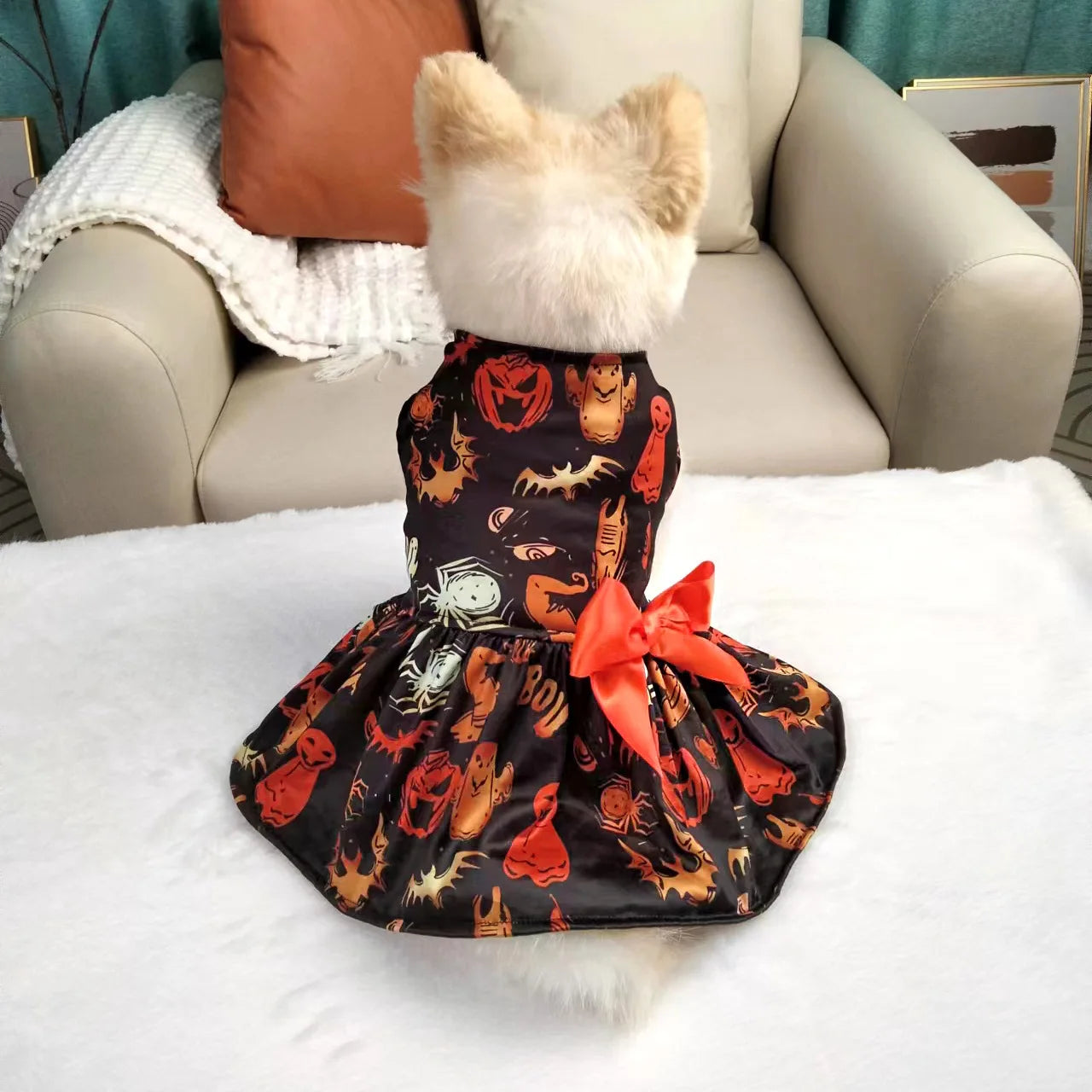 Robe Chien Halloween Citrouille Mignonne