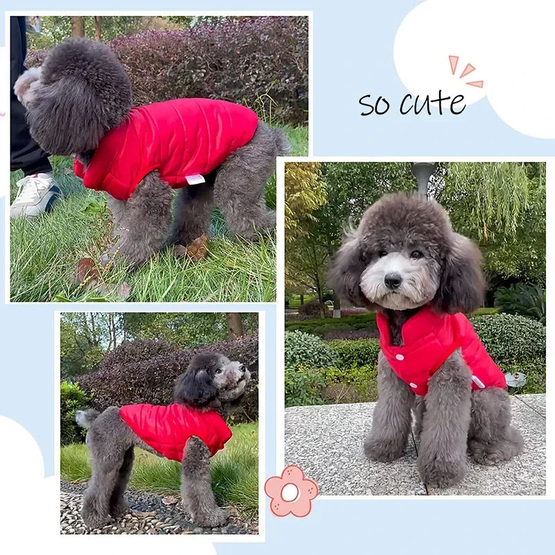 Manteau Pluie Double Face pour Chiens