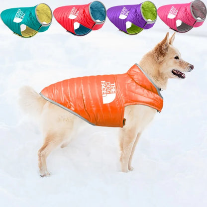 Veste Chien Pluie Réfléchissante