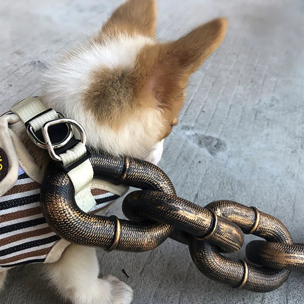 Chaine de Promenade Pour Chiens Fun