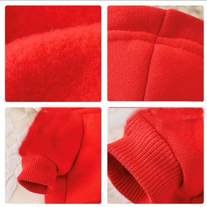 Hoodie Adidog pour Chiens Branchés