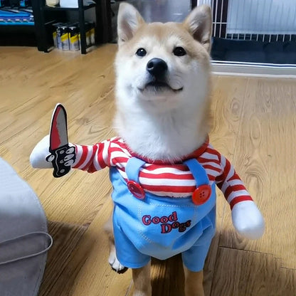 Costume Chien Halloween Amusant