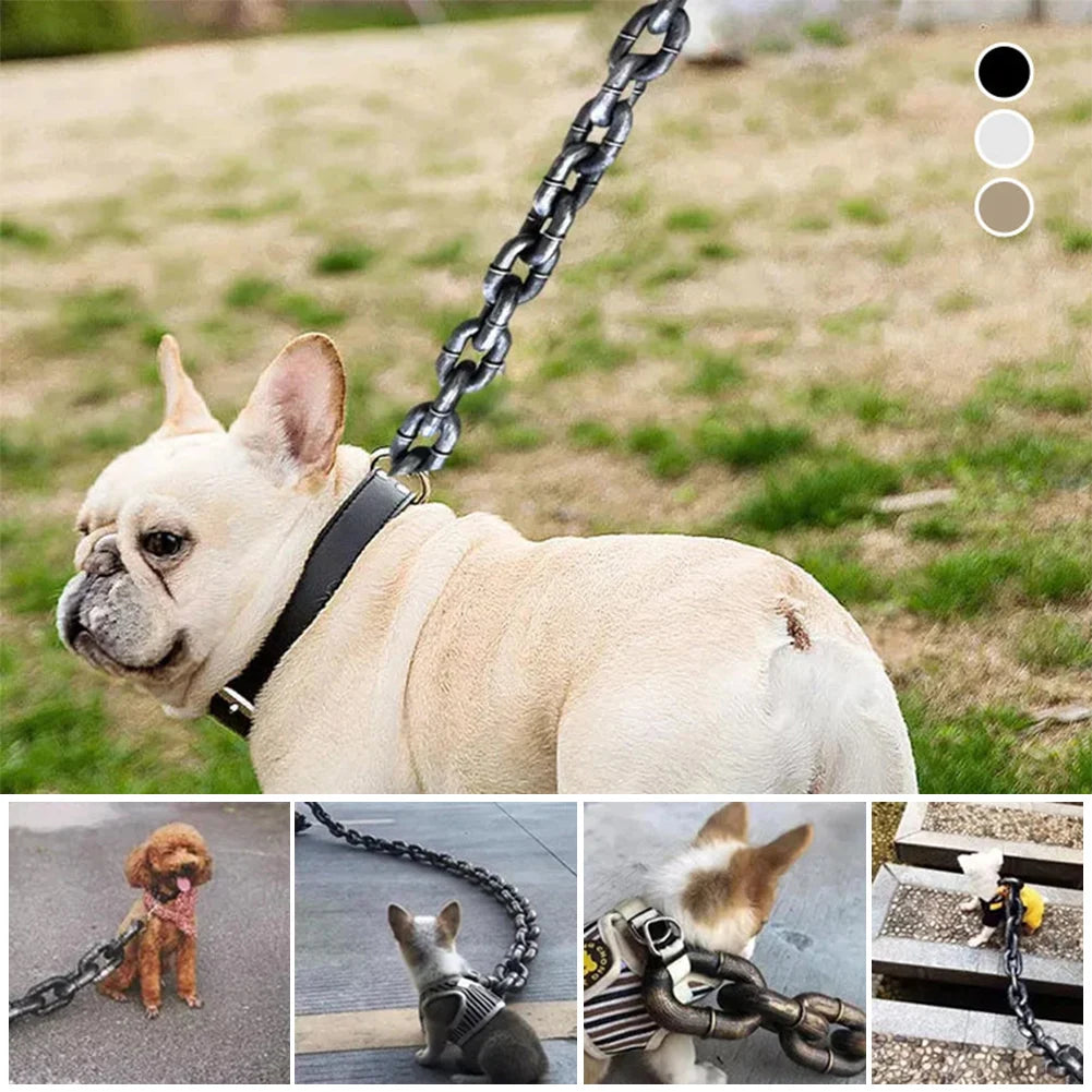 Chaine de Promenade Pour Chiens Fun