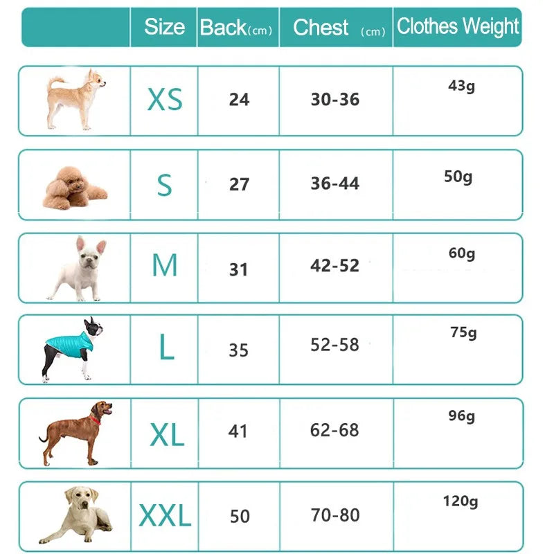 Veste Chien Pluie Réfléchissante