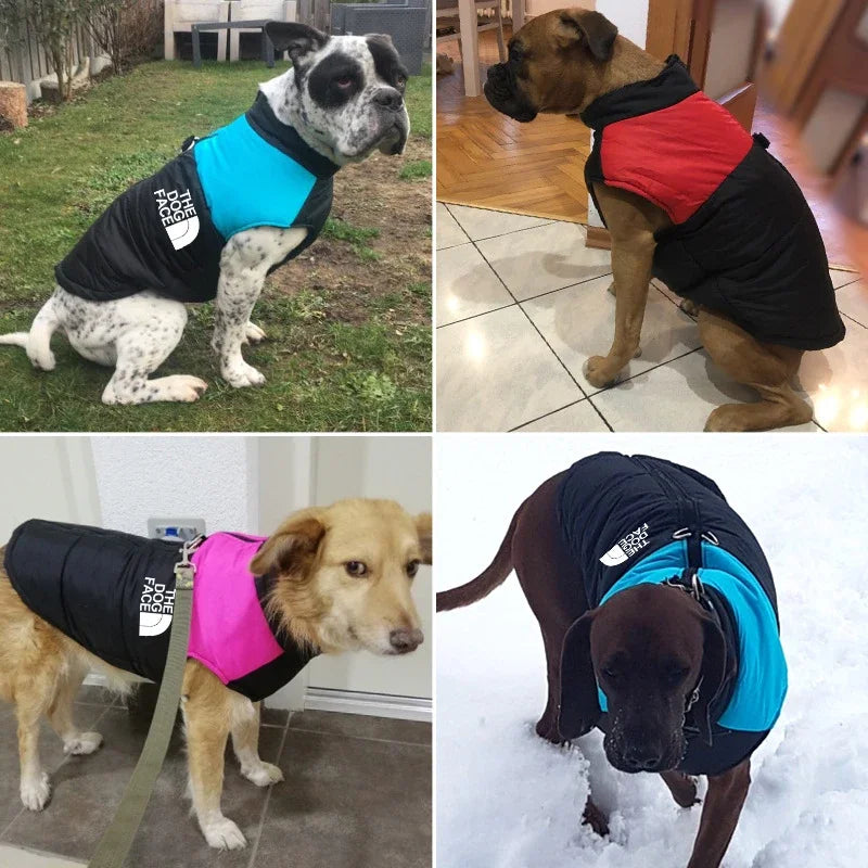 Manteau Hiver Imperméable pour Chiens