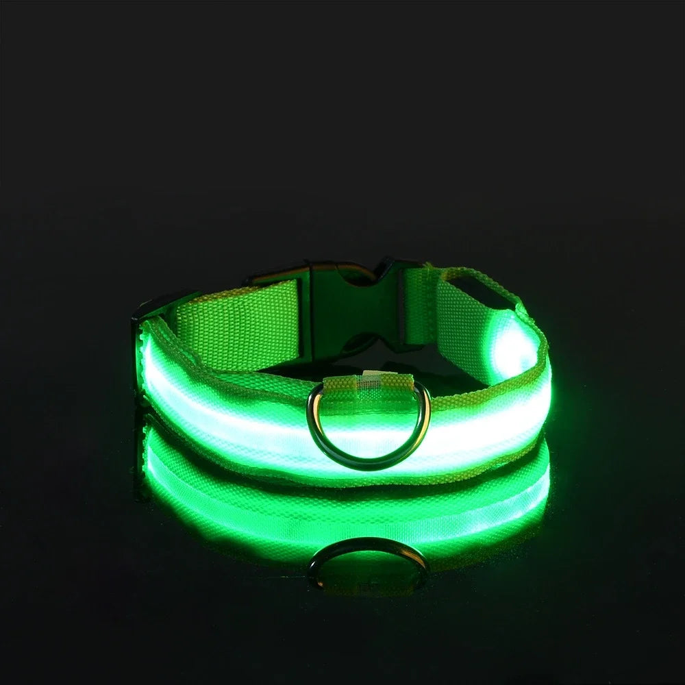 Collier Lumineux de Sécurité LED Chien