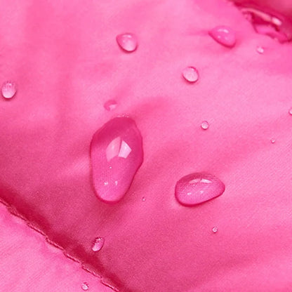 Veste Chien Pluie Réfléchissante