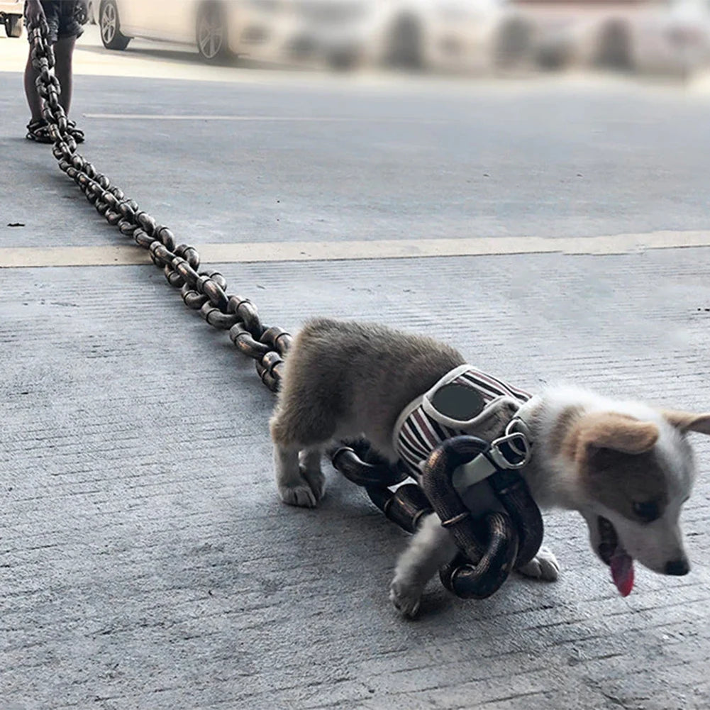 Chaine de Promenade Pour Chiens Fun
